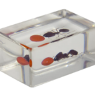 44409_ant_andredbean_angle