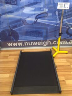 MS3830 WHEELCHAIR SCALE 300KGX100G